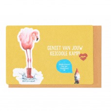 Wenskaart met flamingo - Geniet van jouw keicoole kamp (2242)